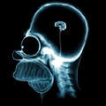 XrayHomer.