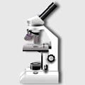 microscope_cameleonhelp_divers