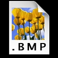 BMP5