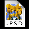PSD5