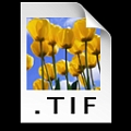 TIF5