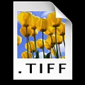 TIFF6